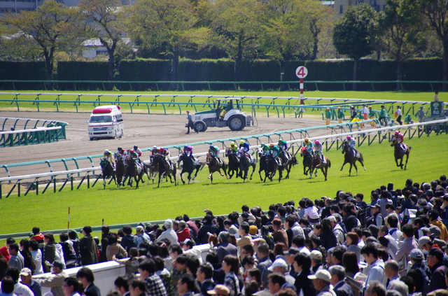 【競馬馬券購入】方法・手順・使い方、メリットデメリットなどについて