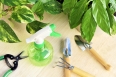 Gardening tools and houseplants  still life