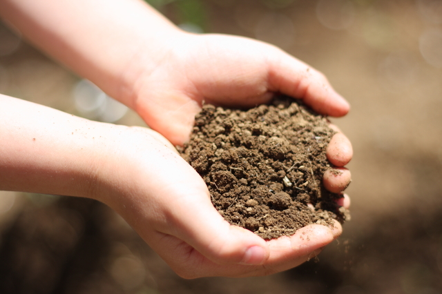 土壌改良の方法・やり方・手順や使い方